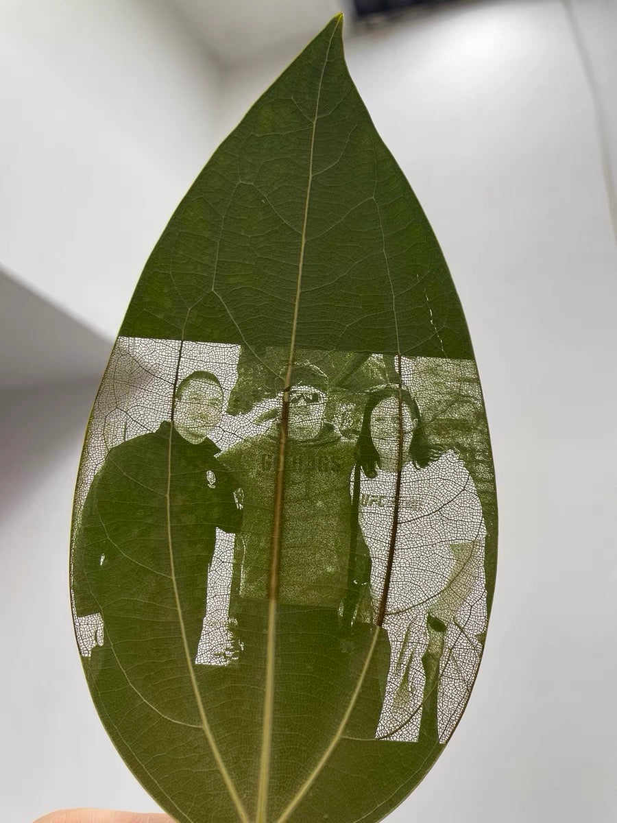 Personnalisation personnalisée des photos de feuilles