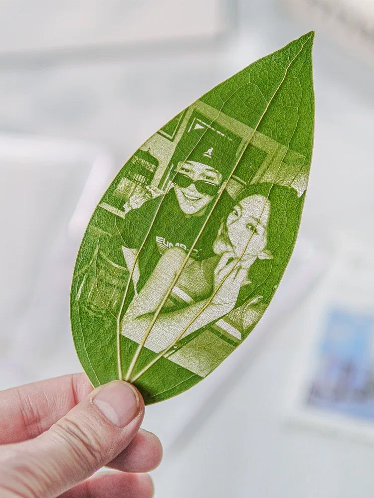 Personnalisation personnalisée des photos de feuilles